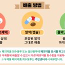 금호보건분소 이미지