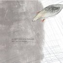 비둘기책방