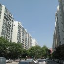 상아(129) 이미지