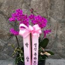 정애플라워