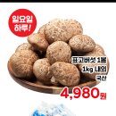 매일청과마트