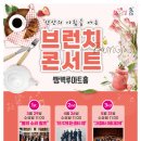 브런치 콘서트 - 봄의소리왈츠 이미지