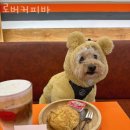광진구자양동카페 로버커피바 향긋한 커피가 땡길때