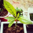 [반려학습] 나를 지키는 호신술 | 플로개 블로그 완전 정복! 반려견 교육의 성지이자 보호자들의 필수 지침서