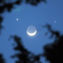 Move in sp 이미지