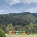 구절초가는길 | [정읍] 구절초 축제 주말방문 후기