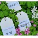 신명헬스케어 이미지