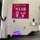 카페꽁냥 이미지