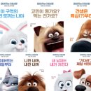 마이펫돌