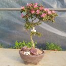 황등농장 이미지