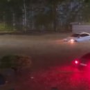 신림동-3 이미지