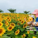 이광희 농장 이미지