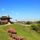 초록풍경 이미지