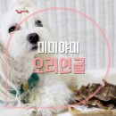 미미야미 이미지