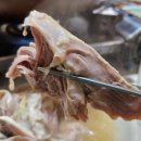 도현농장 이미지