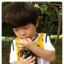 태호농장 이미지