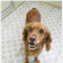 코코목욕 이미지