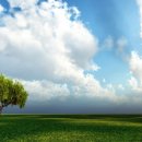 피어스와 시애틀 이미지