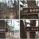 솔향기 이미지