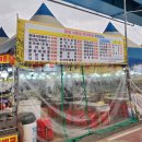 씨유 창녕남지유채점 | 창녕 남지 유채꽃 축제 실시간 개화상태 먹거리 후기