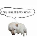 (주)엠디약품 | 쉽게 잊으라 하기엔 내겐 과분할 만큼 기억이 달콤했잖아