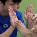3.8농장