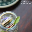 디자인커런트 이미지