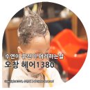 헤어(HAIR)1380
