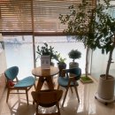 서울사랑니치과의원 이미지