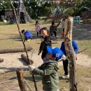 수니유치원 이미지