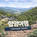 함양토종약초시장 | [여행] 함양 여행 가이드!!