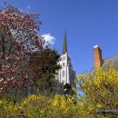 대신양말골목 이미지