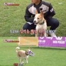 챔피언 애견농장 이미지