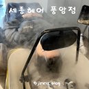 광주세종 | 광주 풍암동미용실 세종헤어 풍암점 두피관리 헤어클리닉 후기