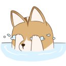 달봉이칼국수