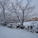 공산고등학교 이미지