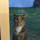 조천마실 이미지