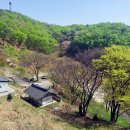동혈사 - 1055 | 동혈사