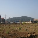 사라봉미용실 네이버블로그