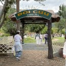 번풍목장 | 나트랑 사막투어 ‘양떼목장’ 아이랑 가족여행 추천 후기