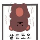 노타이틀 이미지