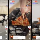 푸드펫 이미지