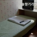 솔향기리빙텔