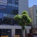 하얀미소약국 이미지