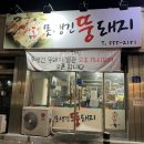 뚱돼지 - 홍천군 갈마로11길 23 | 뚱돼지