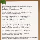 더 벨류 에스테틱 이미지