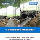 은선목장 이미지