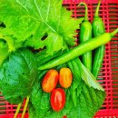 농부밥상 이미지