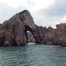 석양 속 생명의 날 이미지