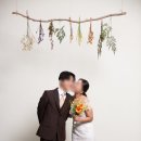 현플라워 | 구 플리트비체(현 미루 스튜디오) 드라이플라워 신💐